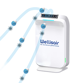 Air & Surface Decontamination